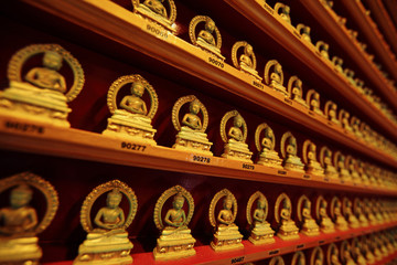 Fototapeta premium rows of golden buddha statue