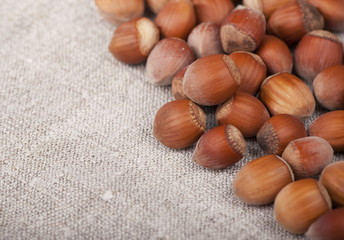 Hazel nut on rough cloth background