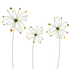Abstract dandelion flowers