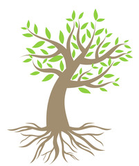 Tree with roots