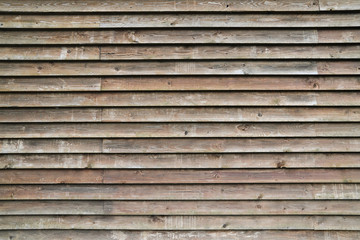 Obraz premium Grunge planks of wooden wall