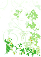 vertical green sakura flowers illustration