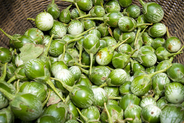 pile of small round green eggplant in basket.