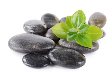 Spa a stone isolated on white