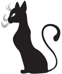 Black cat profile