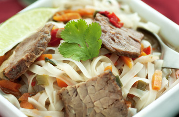 Asian Beef Soup