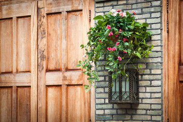 Fototapeta na wymiar House decoration - Hanging houseplant basket and old style lamp
