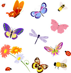 butterfly insects bee ladybug
