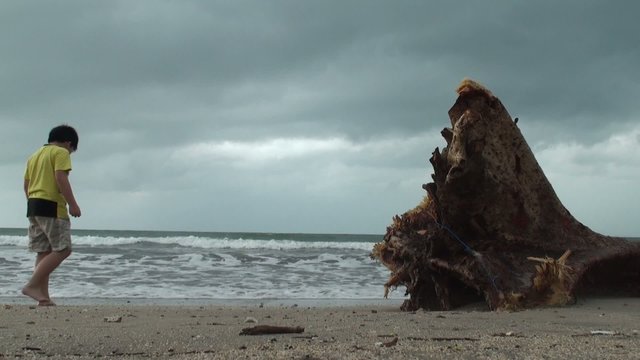 The boy walks on the beach