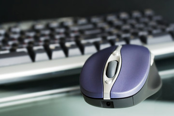 Computer mouse