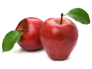 two red ripe apple fruit closeup isolated on white background