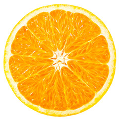 orange slice isolated on white background