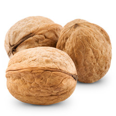 Walnut isolated on white background. Studio macro