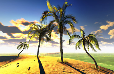 Obraz na płótnie Canvas Hawajski raj