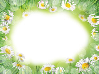 Spring background