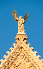 Cattedrale di Santa Maria Assunta (Siena) - 39202037