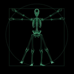 X-ray skeletal structure of a Vitruvian Man