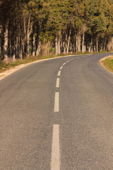 Empty road against trees ending in a curve