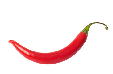 single isolated red hot chilli pepper