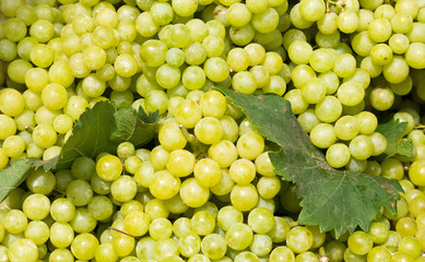 Green grapes