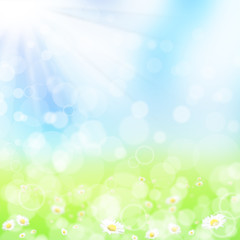 Obraz premium Spring background