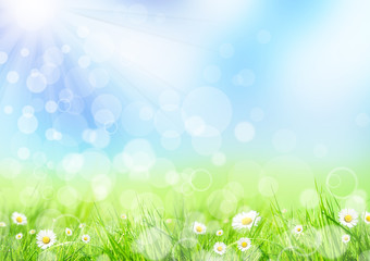 Spring background