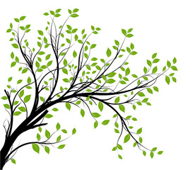Naklejki  wektor zestaw - zielona ozdobna gałąź i liście