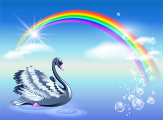 Swan and rainbow