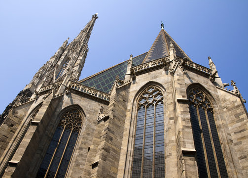 Cathedral of Vienna