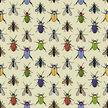 Bugs Texture