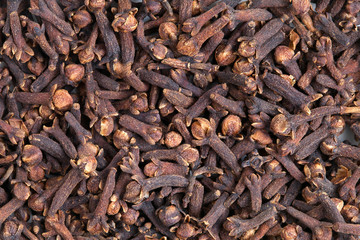 Clove (Syzygium aromaticum)