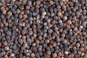 Black pepper  (Piper nigrum)