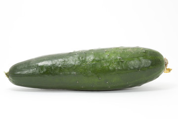 Cucumber