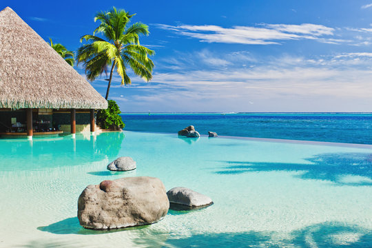 Infinity Pool With Palm Tree Overlooking Ocean