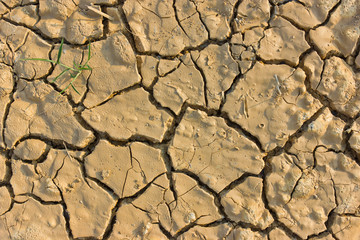 The soil broken dry.