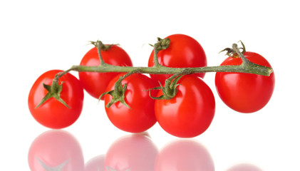 Beautiful cherry tomatoes on a branch isolated on white