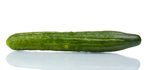 long cucumber isolated on white