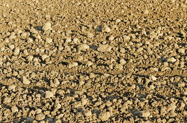Plowed field.