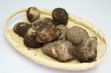 Colocasia esculenta