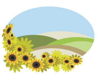 The frame with sunflower field.