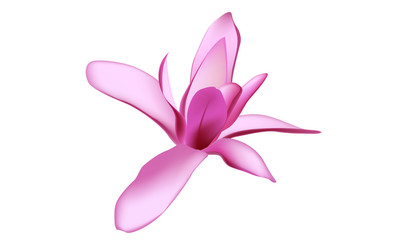 Naklejka premium Оrchid flower