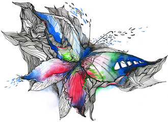 Obrazy na Plexi  abstrakcyjny motyl (seria C)