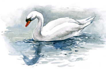 white swan (series C)