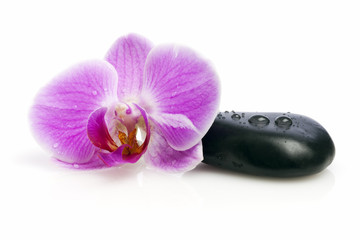 Orchideenblüte und Kieselstein isoliert