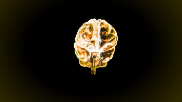 gold brain rotate