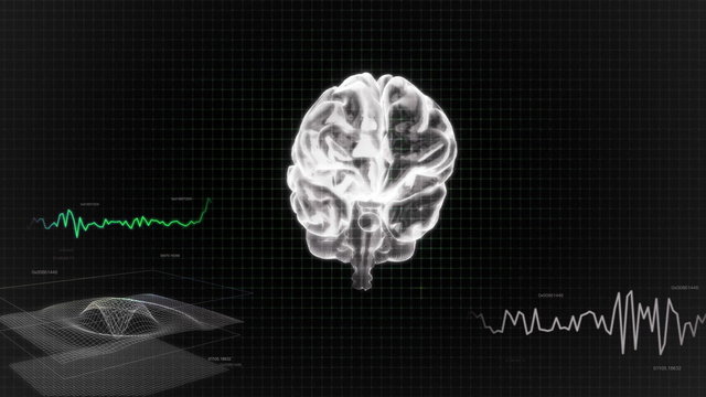 white 3d brain wave scanning screen