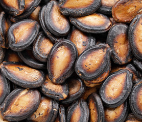 black melon seed for chinese new year