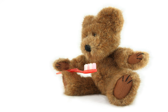 Teddy Bear With Toothbrush