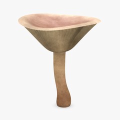 3d render of lactarius helvus