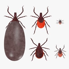 3d render of tick animal